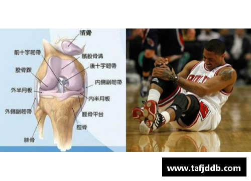 韧带断裂逆袭传奇：这些体育明星如何重返巅峰的故事