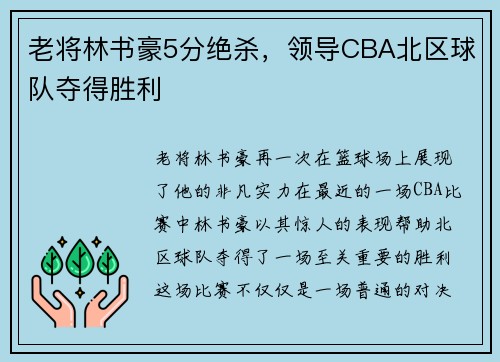 老将林书豪5分绝杀，领导CBA北区球队夺得胜利